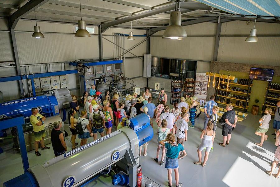 View from above of a woman guide giving a tour to a group at Oilympian Koufolias plant olive oil mill